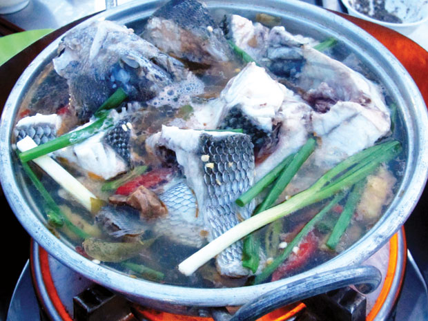 Quảng Ngãi Tourist - Cá Tà ma